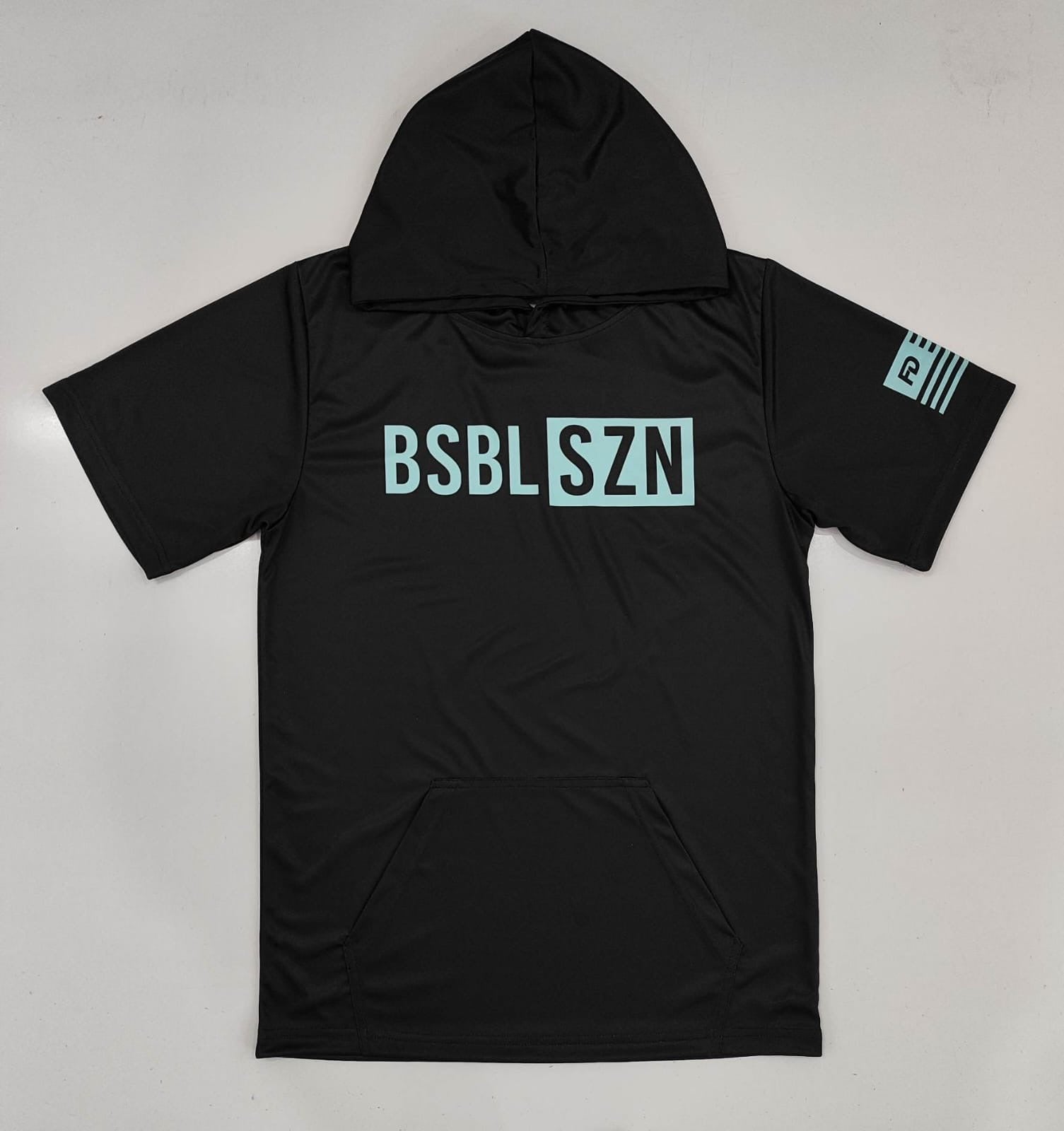 FD Black Ice BSBL SZN Hoodie Tee